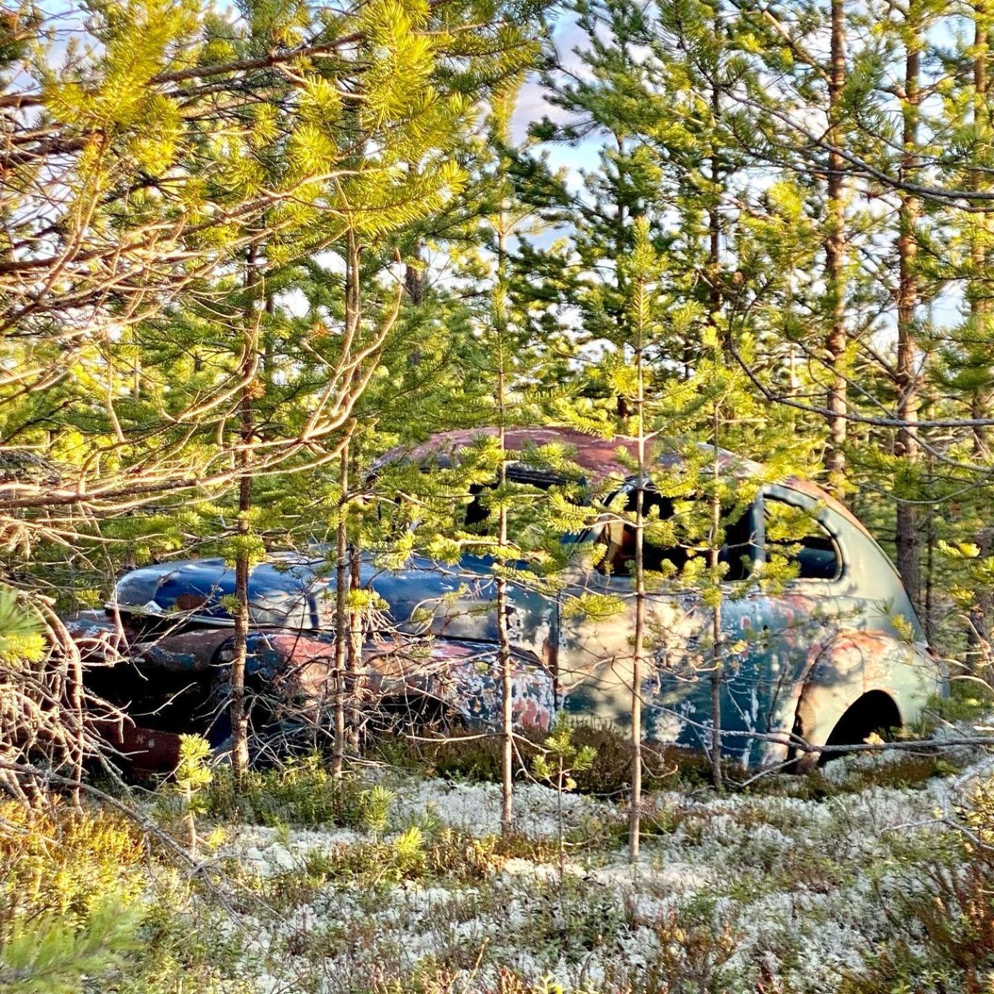 Hotel Offroadcamp Sörsjön Exteriér fotografie